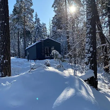 Tammikon Tupa Domek alpejski